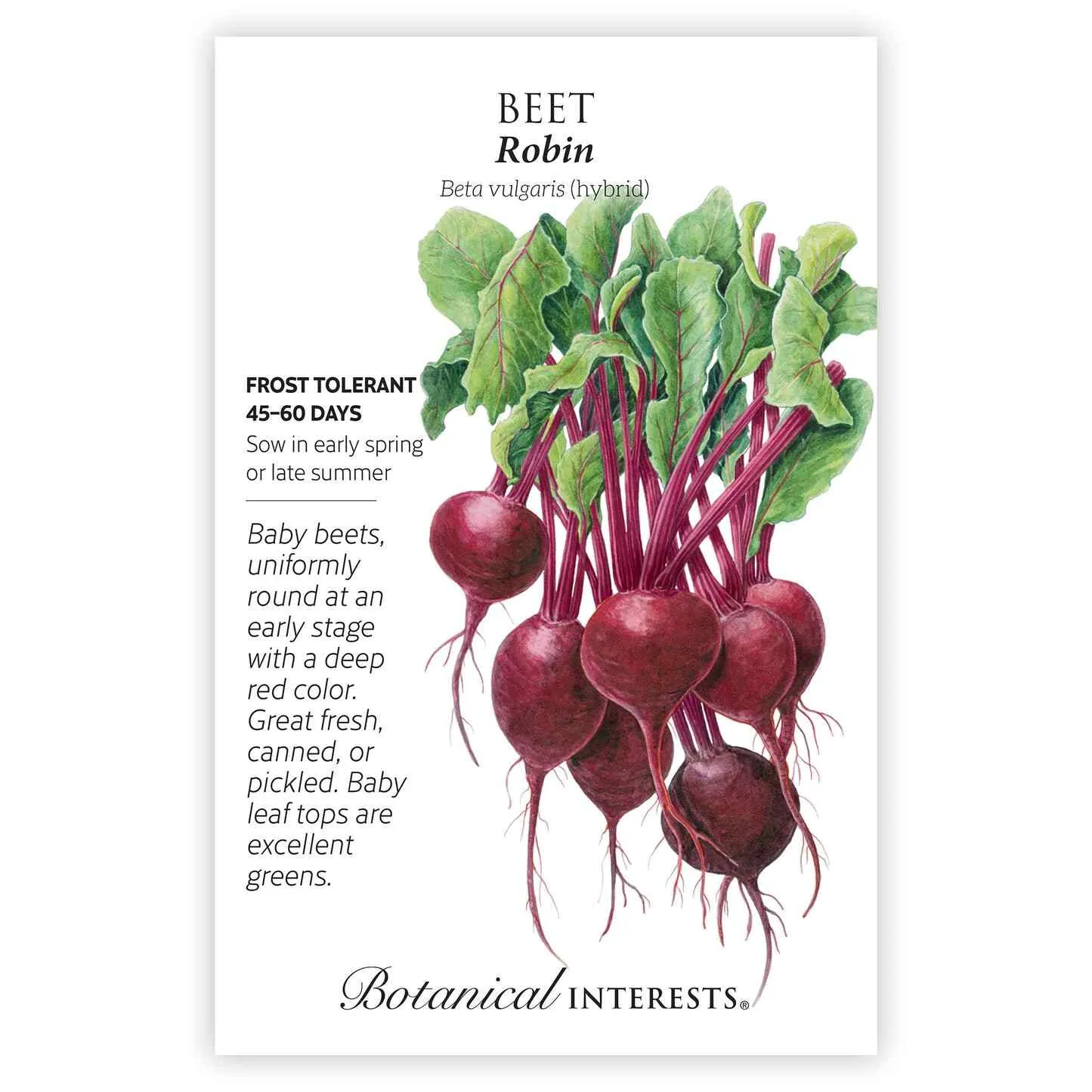 Epic Gardening Robin Beet Seeds Baby Size