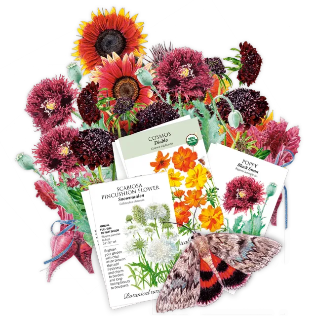 Epic Gardening Heavy Metal Garden Seed Bundle 6-Pack