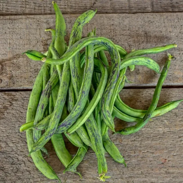 Pinetree Garden Seeds Rattlesnake Pole Bean Seeds 50 Heirloom Striped