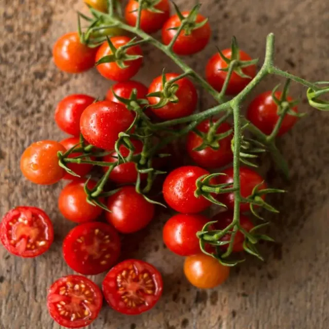 Pinetree Garden Seeds Cherry Bomb Tomato Seeds 10 Seeds Hybrid