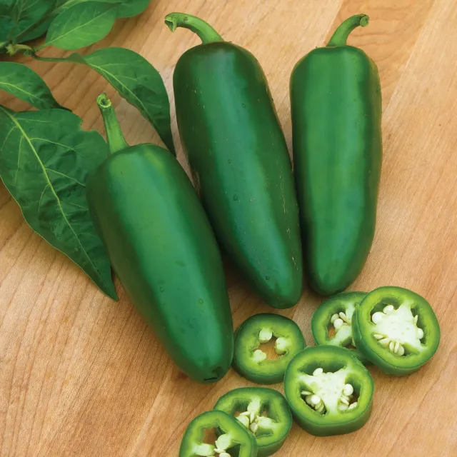 Burpee Big Guy Hot Jalapeno Pepper Seeds