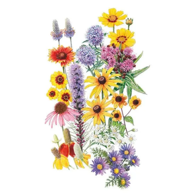 Epic Gardening Prairie Splendor Flower Mix Seeds Native Mix