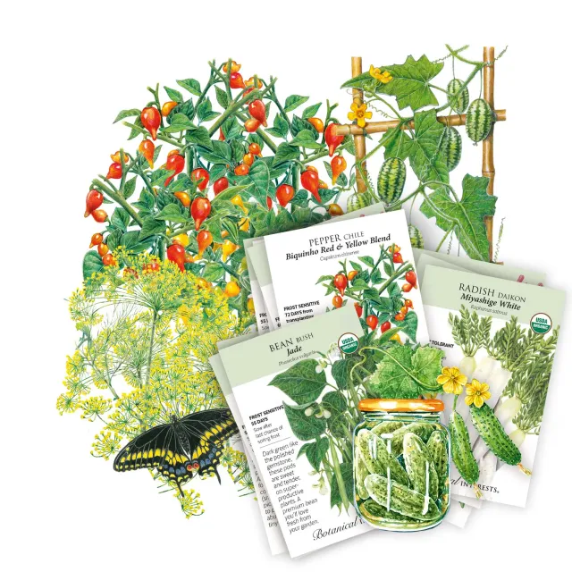 Epic Gardening Pickle Panic Seed Bundle 10-Pack Pickling Mix