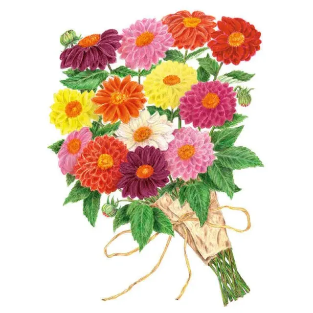 Epic Gardening Decorative Double Blend Dahlia Seeds - Tall Cut Flower