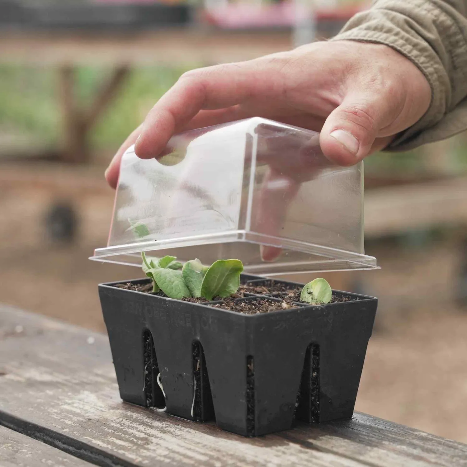 Epic Gardening Humidity Domes Clear Seed Tray Set