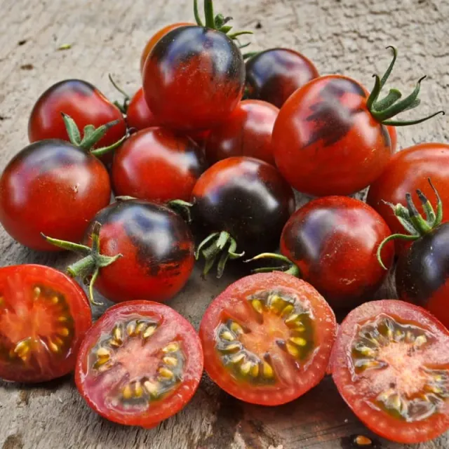 Pinetree Garden Seeds Midnight Snack Tomato Seeds 10 Seeds Indigo