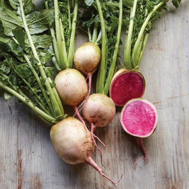 Burpee Watermelon Radish Cool-Weather