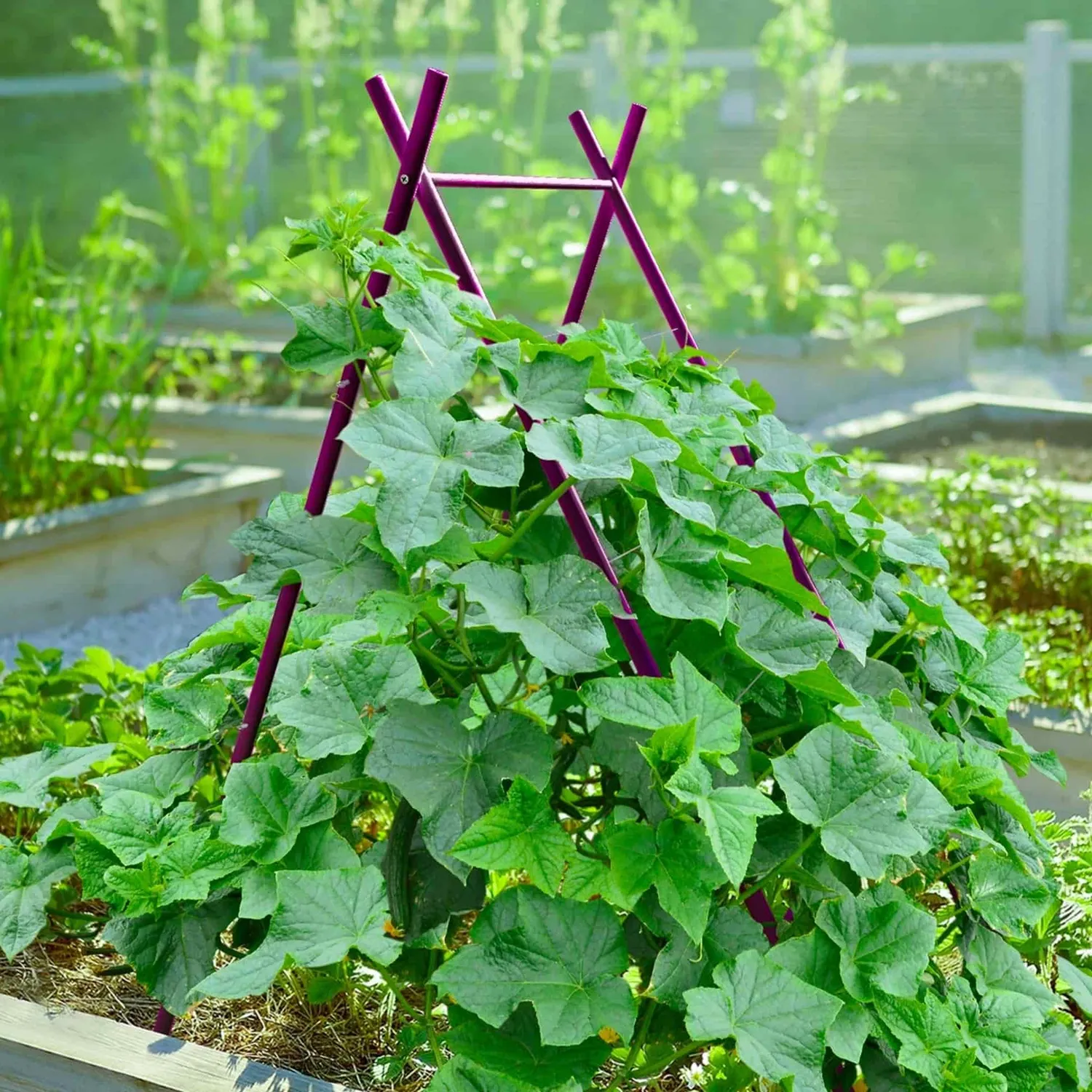 Epic Gardening Terra Modern A-Frame Trellis Steel